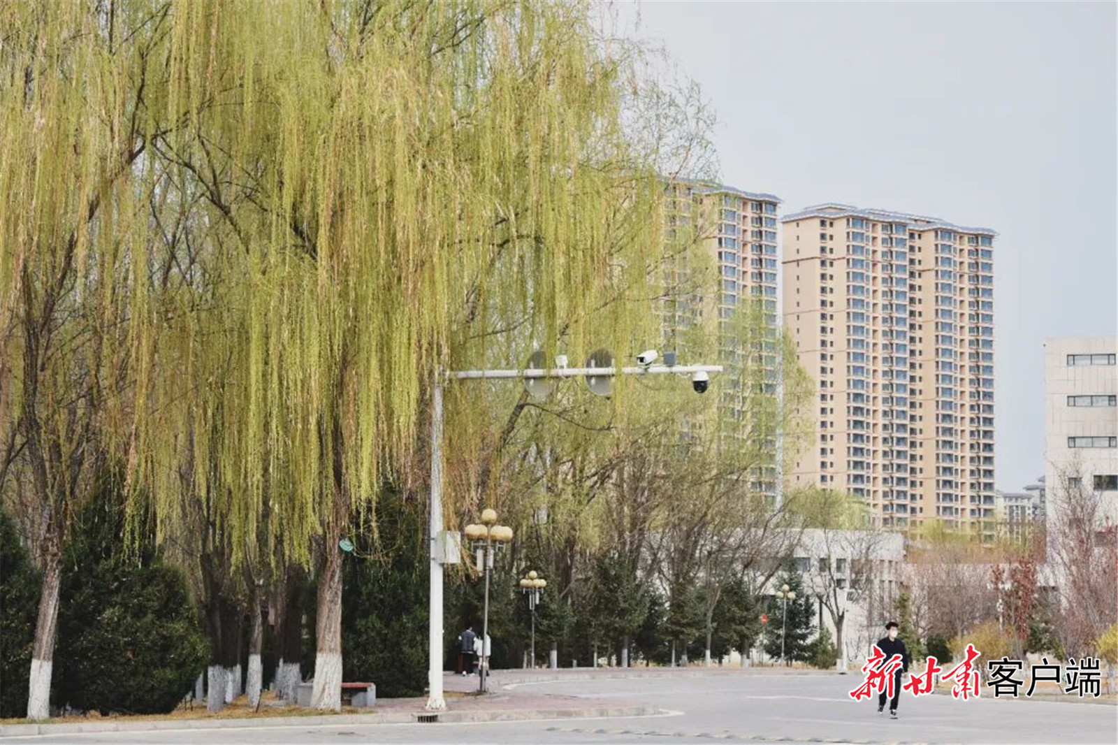 风里夹着温柔，永远沉醉于兰州财经大学的春天。