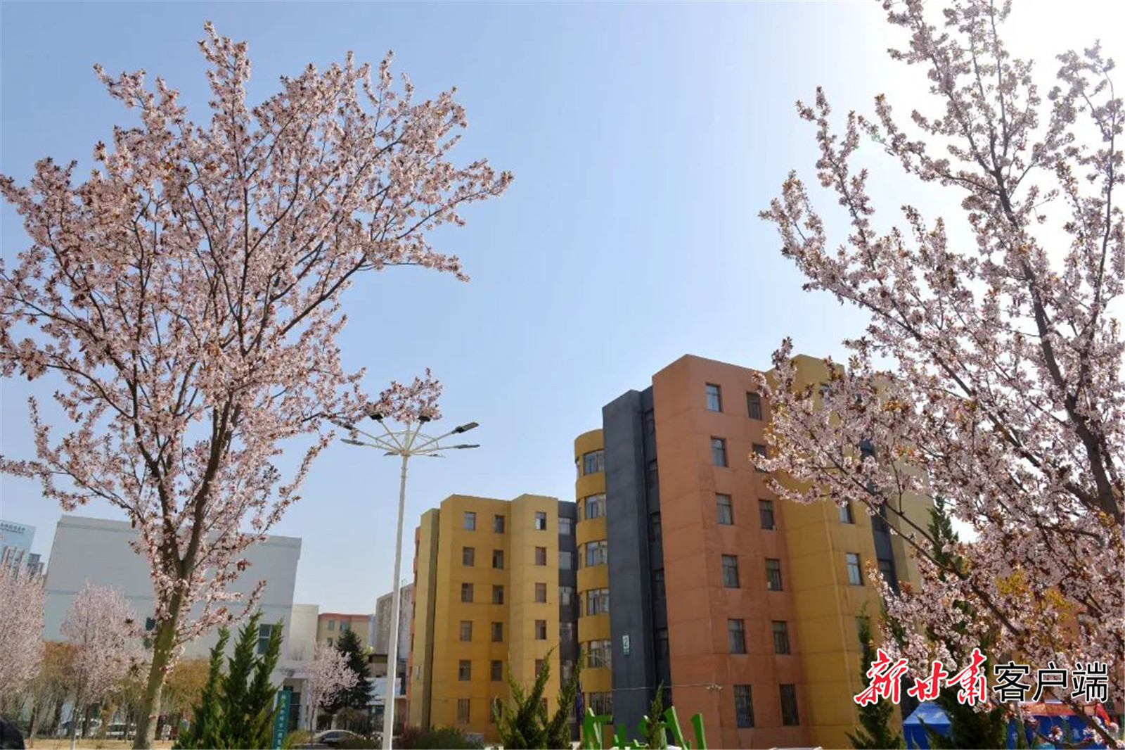 春到人间草木知，东风吹“农”绿参差。