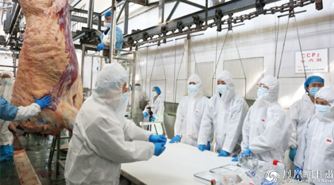 科研团队开展平凉红牛健康维护与品质化生产技术研究　甘肃旭康食品有限公司供图
