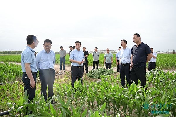 校长柴强带队赴河西推动深化校地校企合作 实地推进教育科技人才一体发展